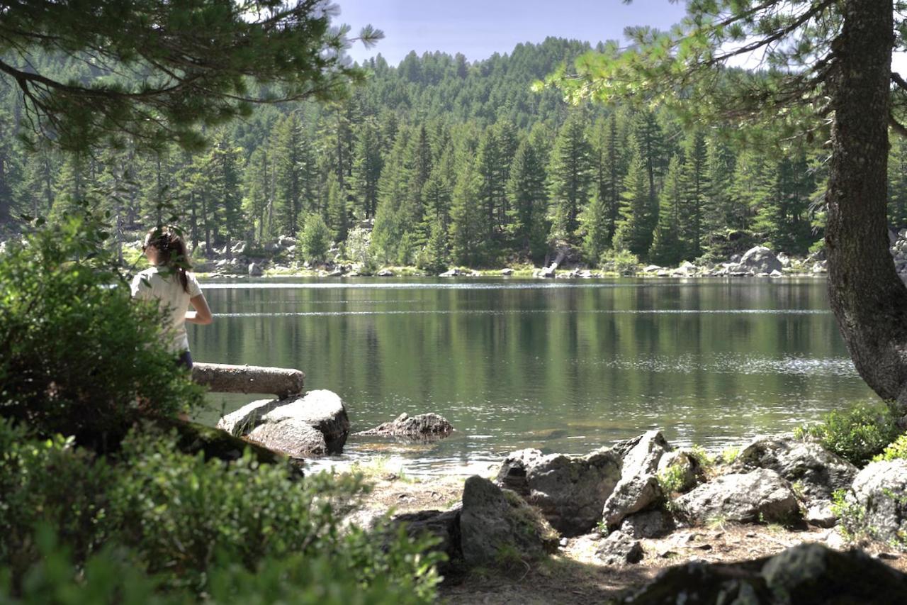 Samel'S Cottage Hrid'S Lake Prokletije Plav Dış mekan fotoğraf