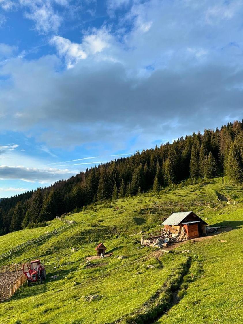Samel'S Cottage Hrid'S Lake Prokletije Plav Dış mekan fotoğraf